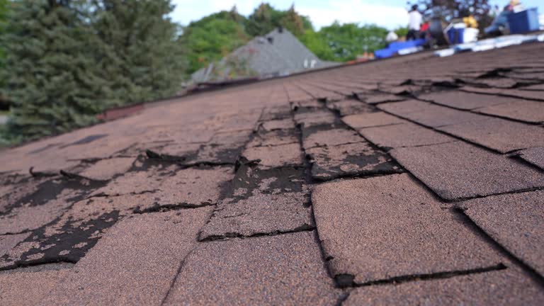 Fast & Reliable Emergency Roof Repairs in Valle Vista, CA
